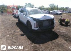 هیوندای پالیسەید